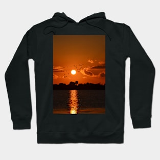 Sunset in Florida Hoodie